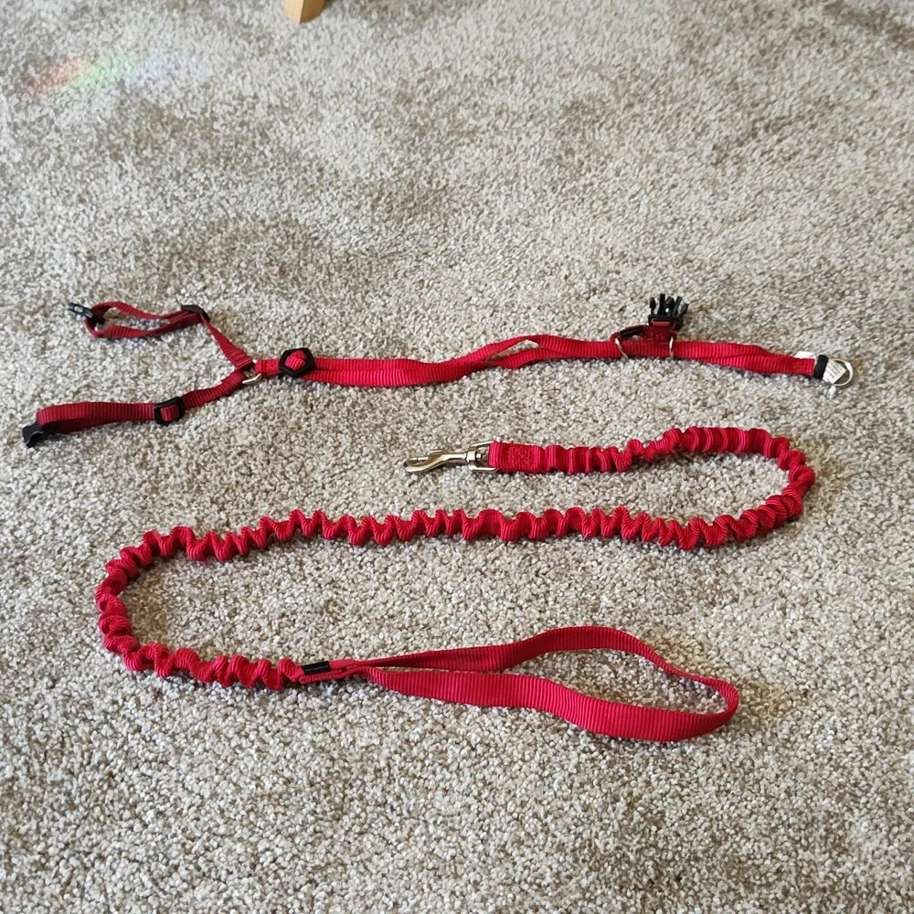 Cat Harness and Leash